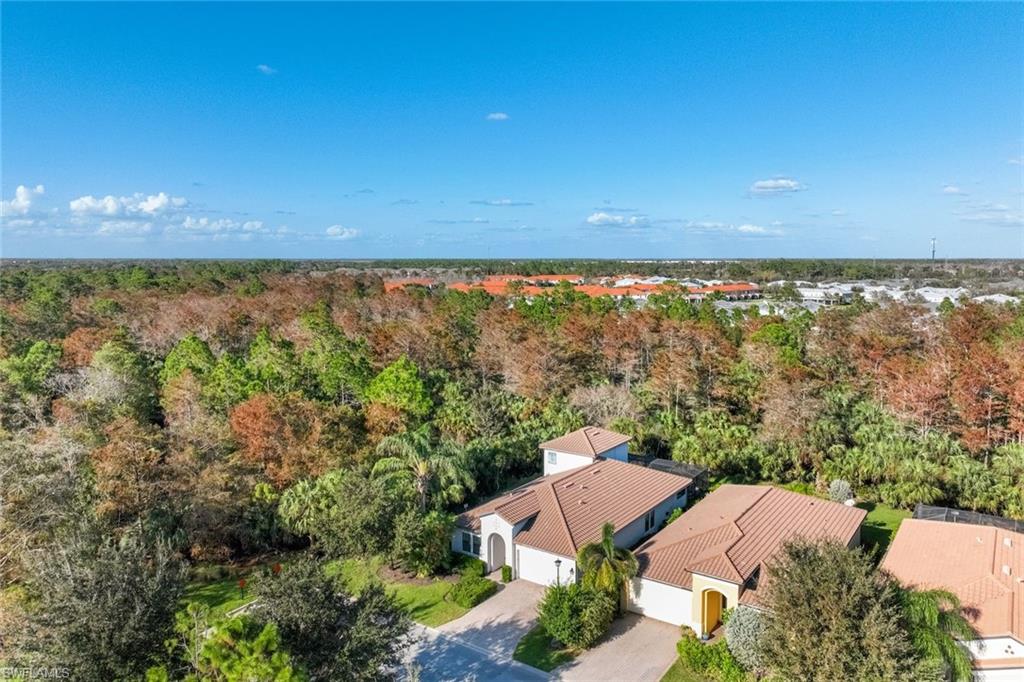 4167 Raffia Dr Property Photo 27