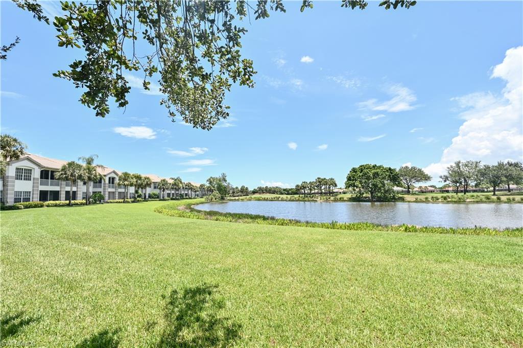 10392 Autumn Breeze Dr # 201 Property Photo 33