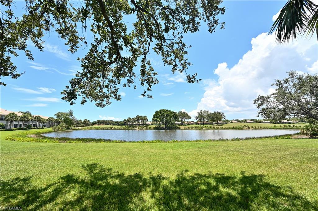 10392 Autumn Breeze Dr # 201 Property Photo 34
