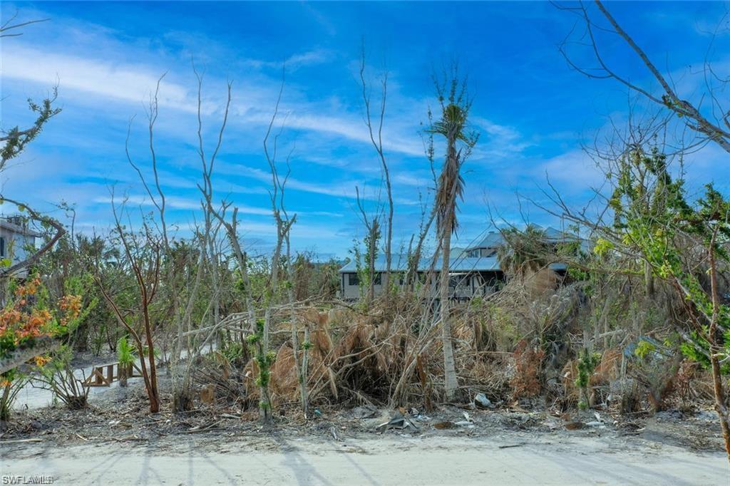 Gulfpines Dr Property Photo 18