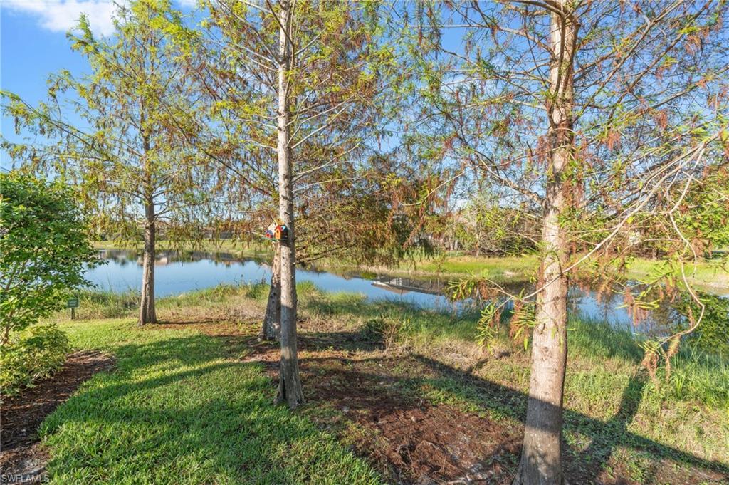 11591 Grey Egret Cir Property Photo 32