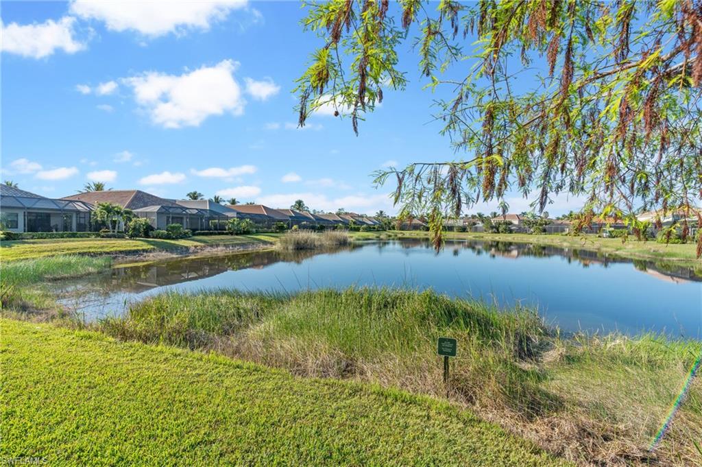 11591 Grey Egret Cir Property Photo 33
