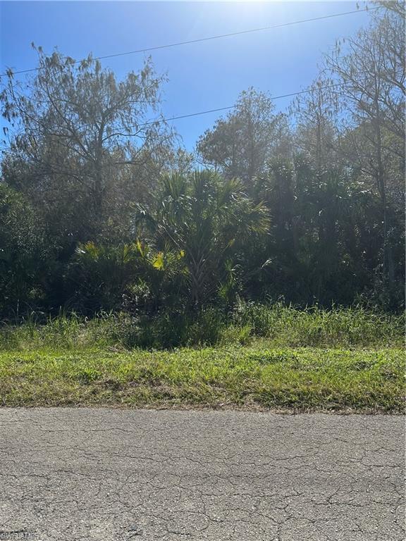 1230 Bermar St Property Photo 4