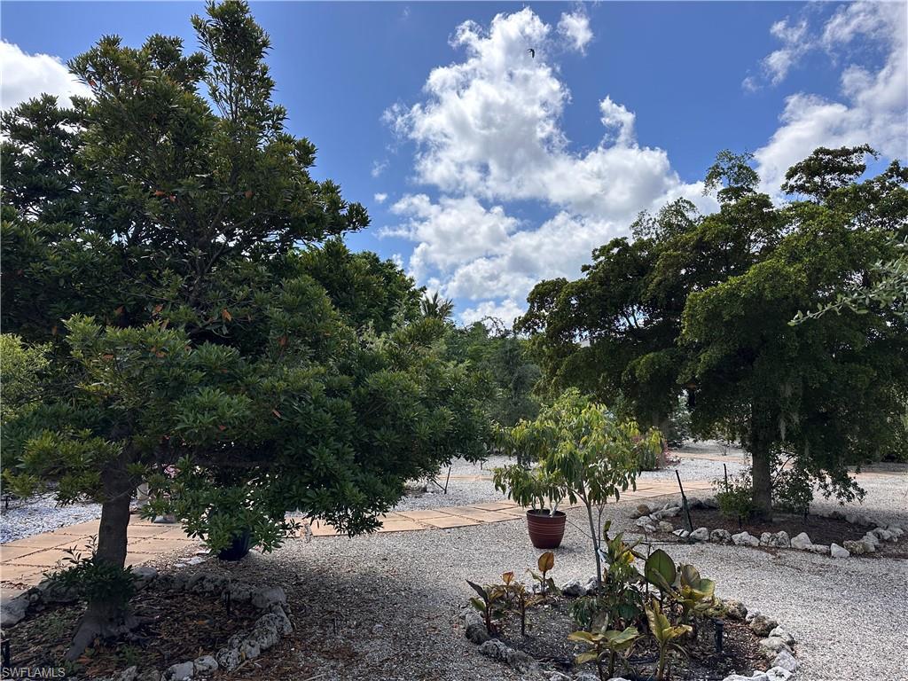4931 Island Acres Ct Property Photo 47