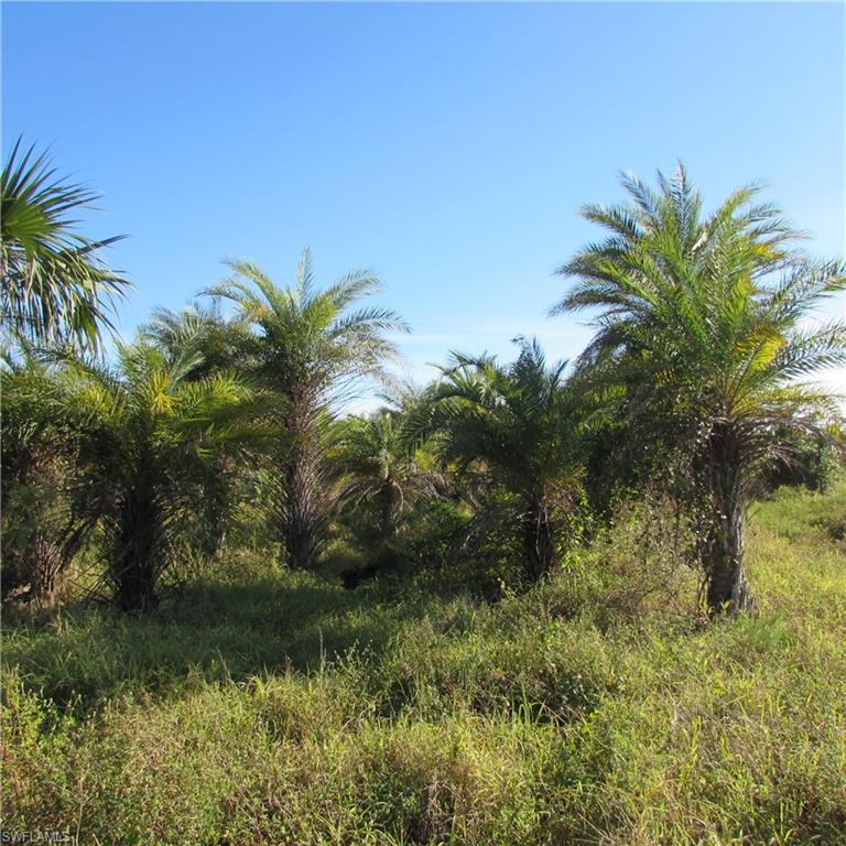 10011 Stringfellow Rd Property Photo 3