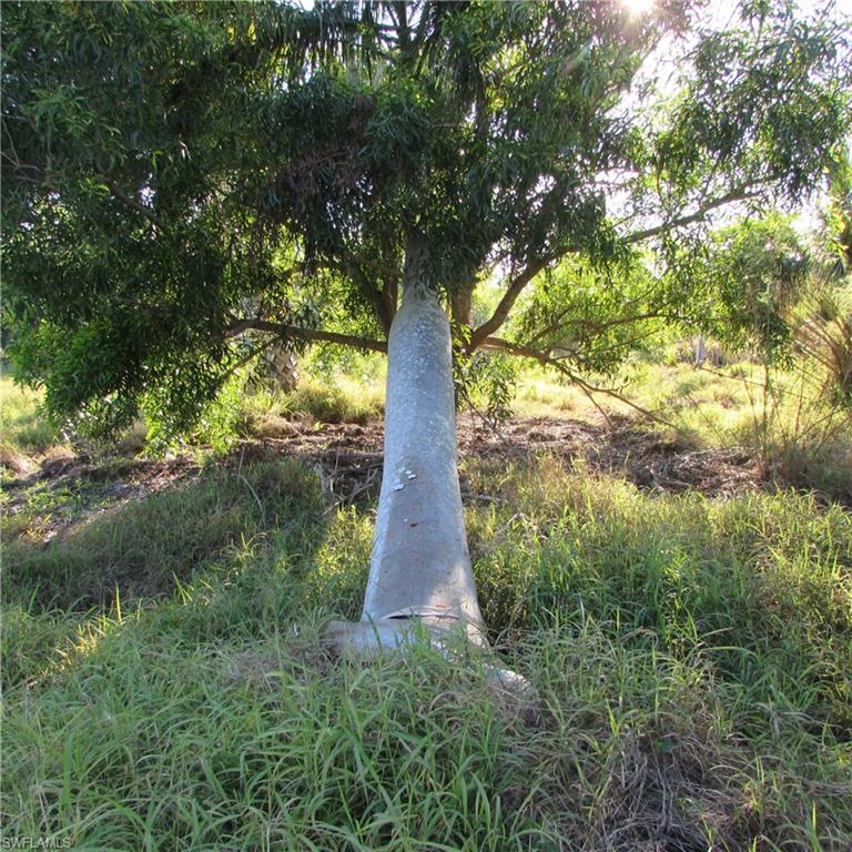 10011 Stringfellow Rd Property Photo 15