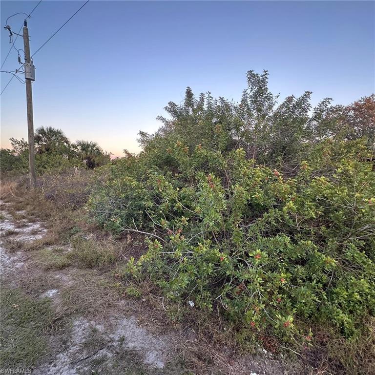 1502 Leroy Ave Property Photo 1