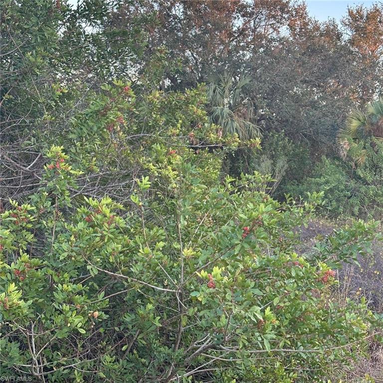 1502 Leroy Ave Property Photo 3