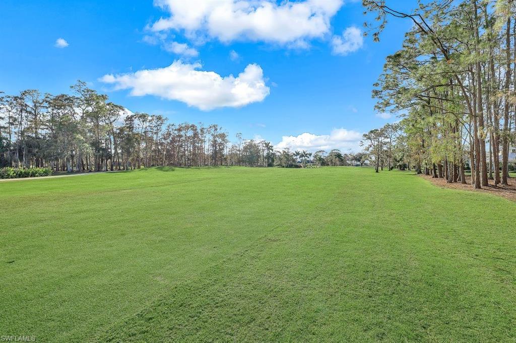 4556 Pond Apple Dr N Property Photo 46