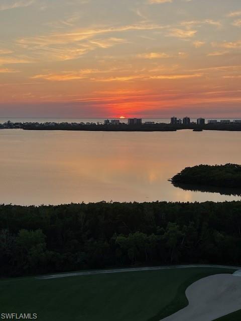 4751 Bonita Bay Blvd # 1602 Property Photo 2