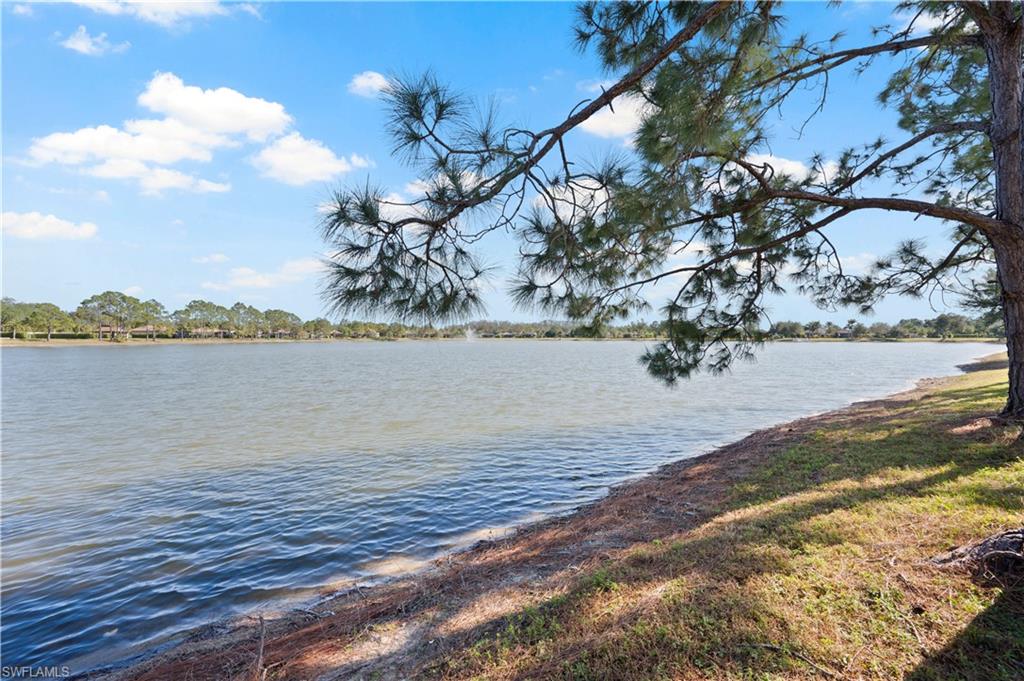 13197 Golden Palms Cir Property Photo 30