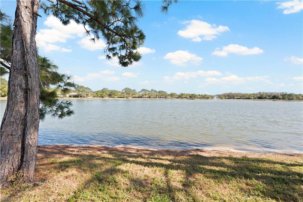 13197 Golden Palms Cir Property Photo 34