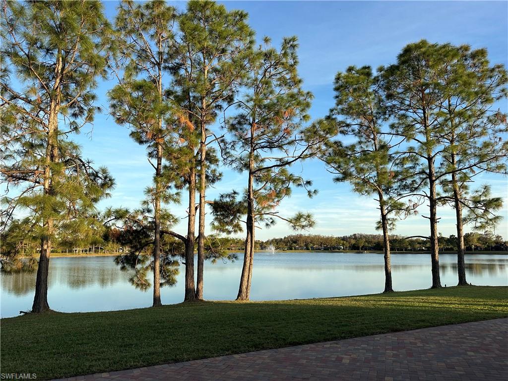 13197 Golden Palms Cir Property Photo 36