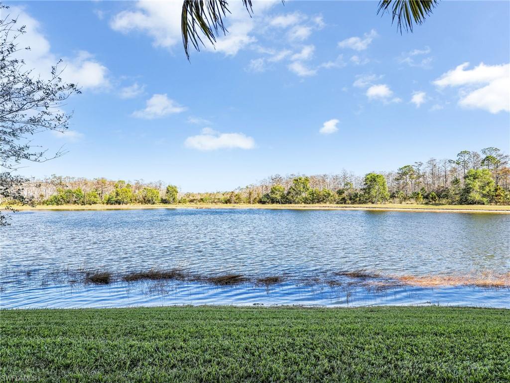9584 Trevi Ct # 5213 Property Photo 12