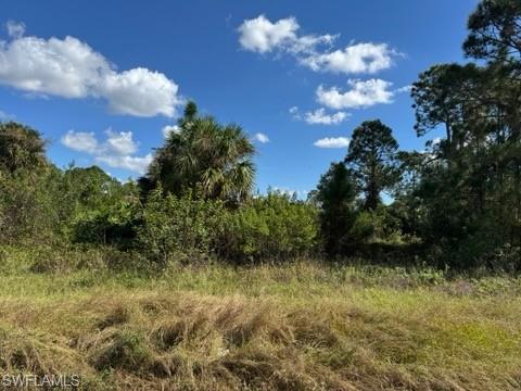 761 Gallo Ave S Property Photo 5