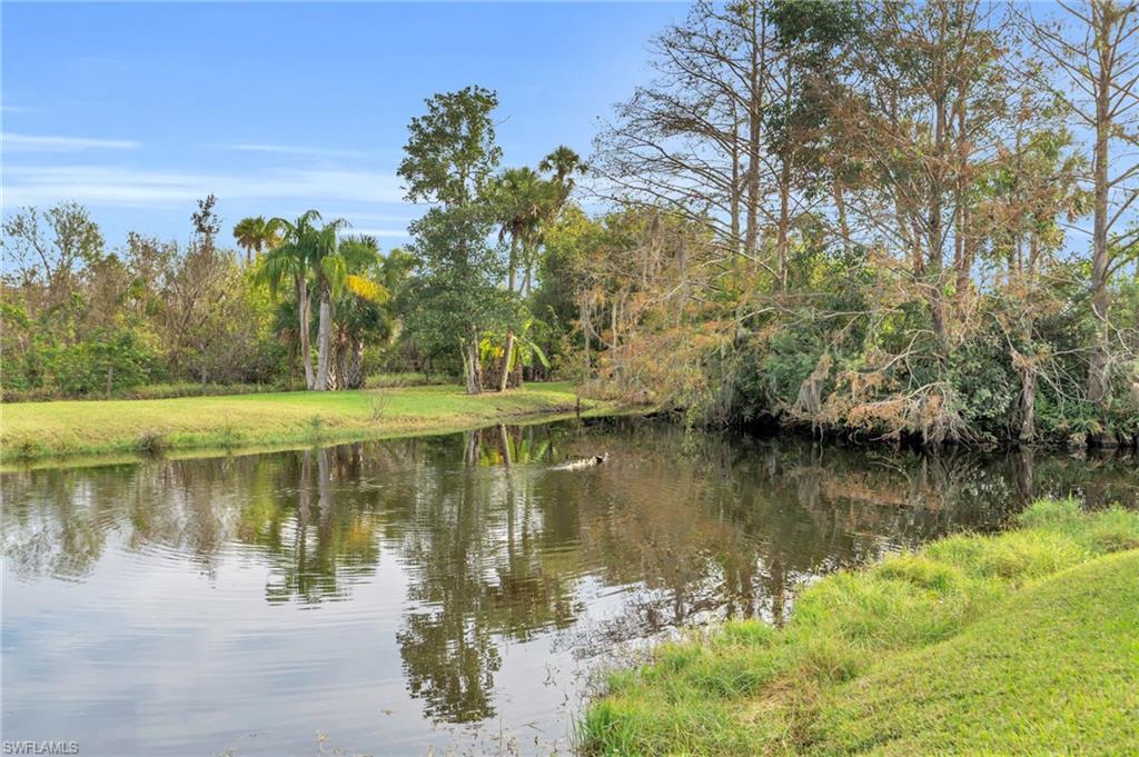 17230 Castleview Dr Property Photo 36