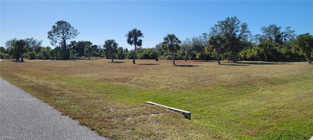 7867 Pinedale Dr Property Photo 12