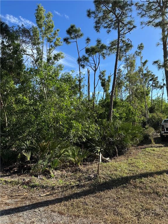 7001 Guava Ave Property Photo 7