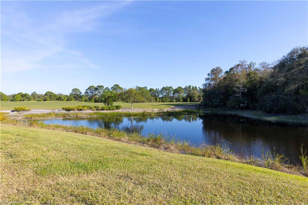 2995 Amblewind Dr Property Photo 10