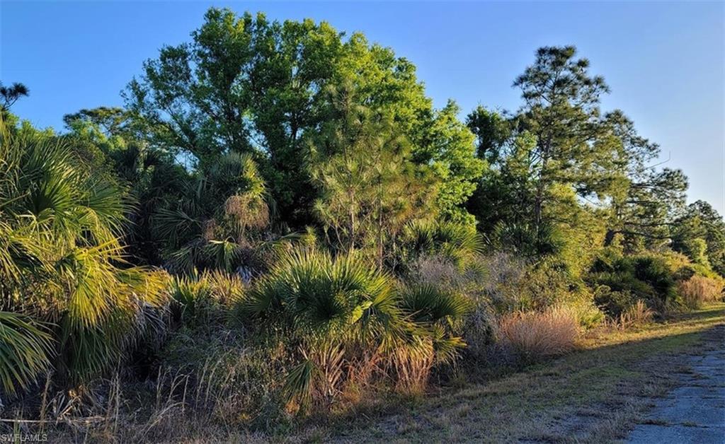 1 Burdekin St St Property Photo 1