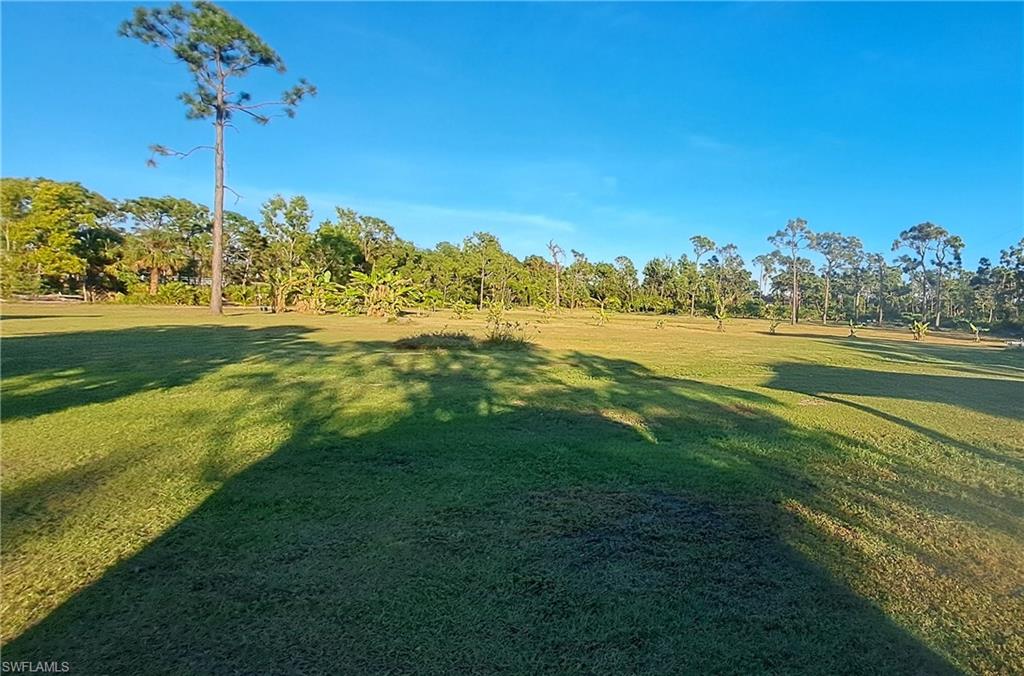 6307 Hodges Dr Property Photo 2