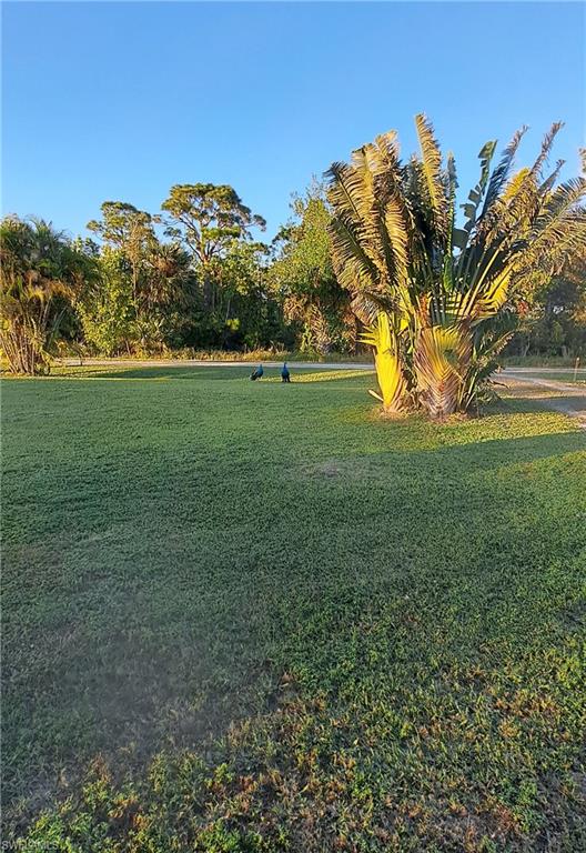 6307 Hodges Dr Property Photo 3