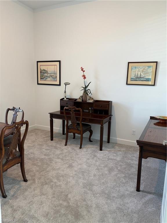 11251 Venetian Lagoon Dr Property Photo 20