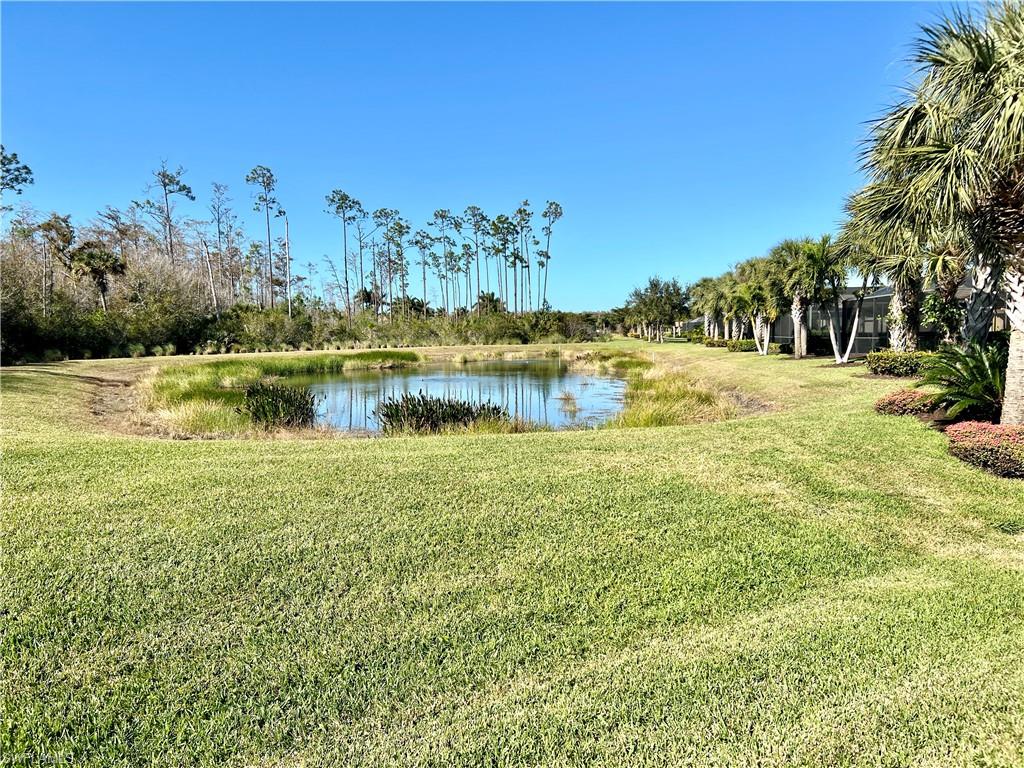 20256 Black Tree Ln Property Photo 31