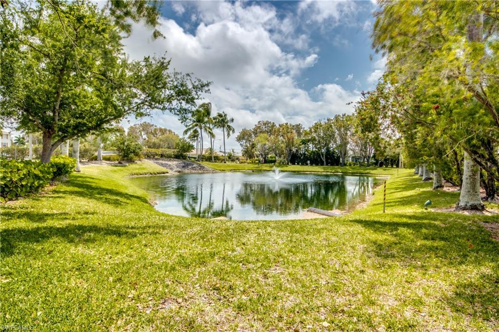 1763 Four Mile Cove Pkwy # 632 Property Photo 48
