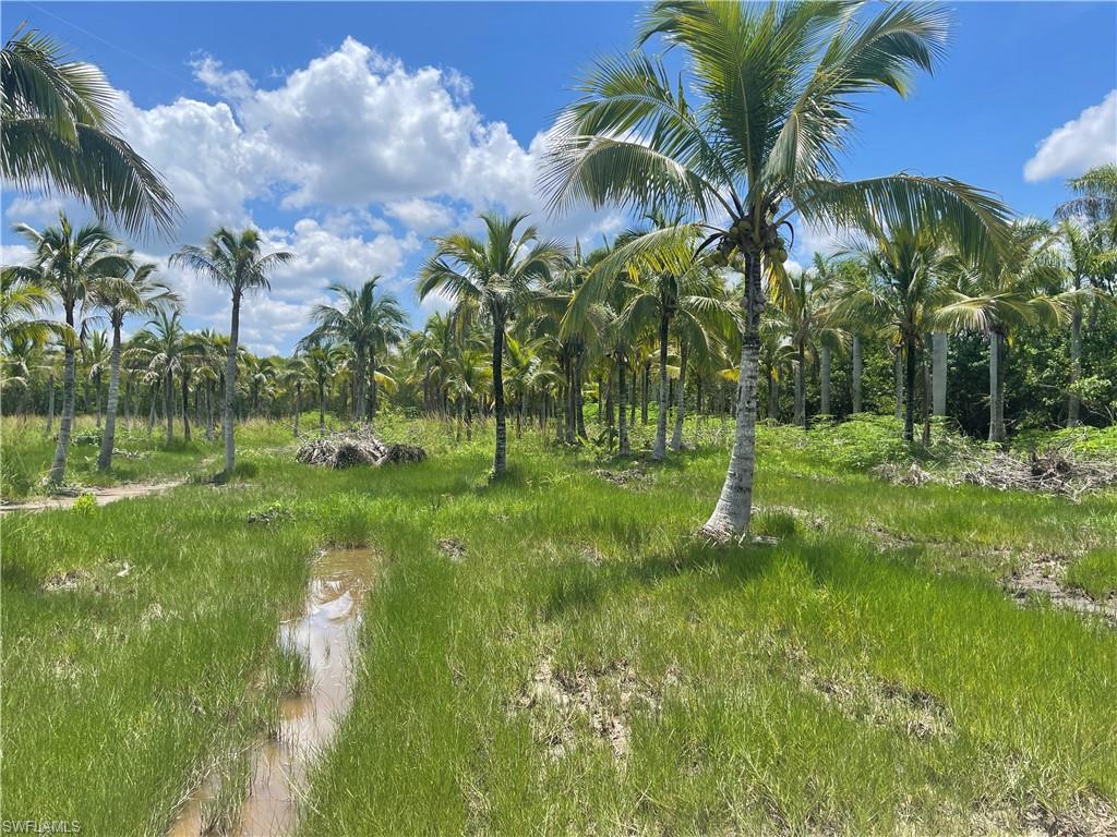 13640 Ficus Tree Ln Property Photo 14