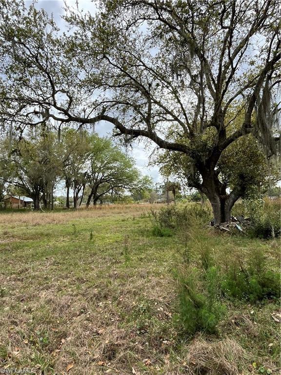 17181 Katydid Ln Property Photo 2