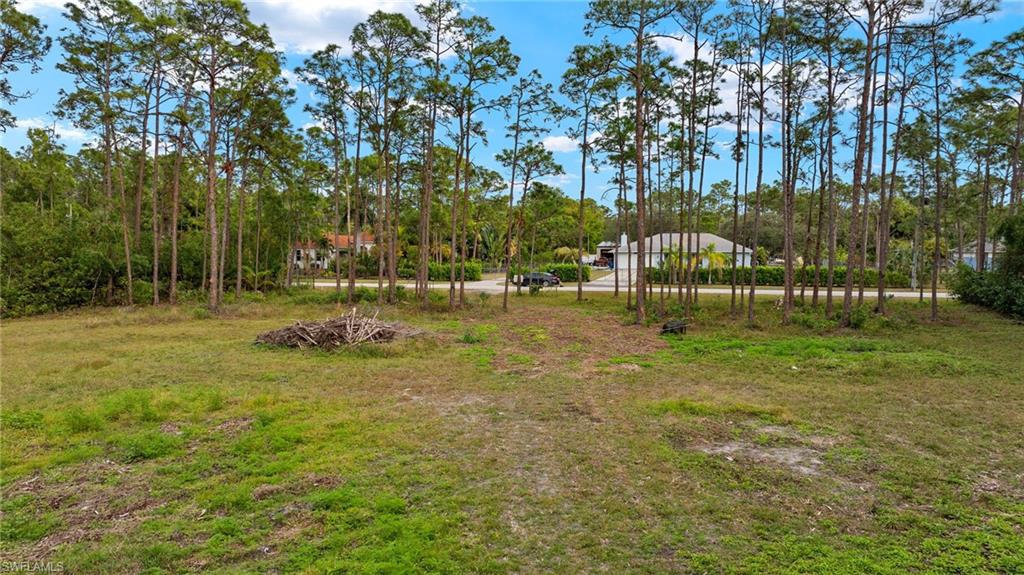24476 Claire St Property Photo 6