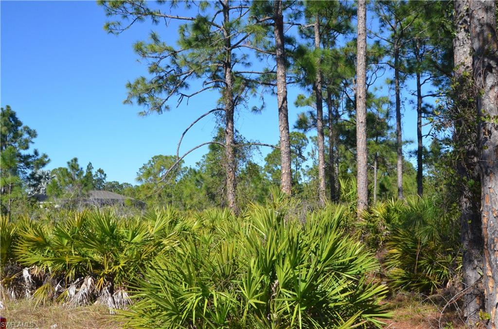 1602 W 14th St Property Photo 2