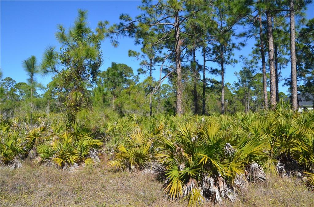 1602 W 14th St Property Photo 3