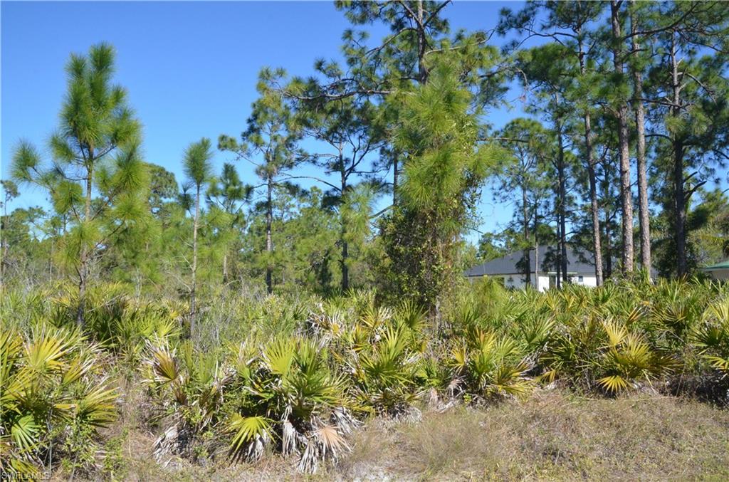 1602 W 14th St Property Photo 4