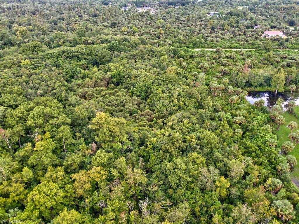 Shady Hollow Blvd E Property Photo 5