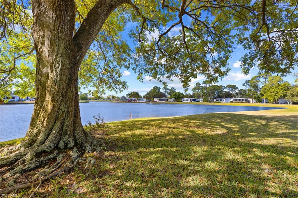 9803 Cree Ln Property Photo 15