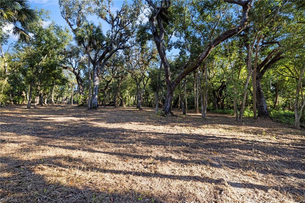 14330 Cemetery Rd Property Photo 15