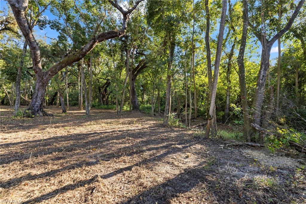 14330 Cemetery Rd Property Photo 17