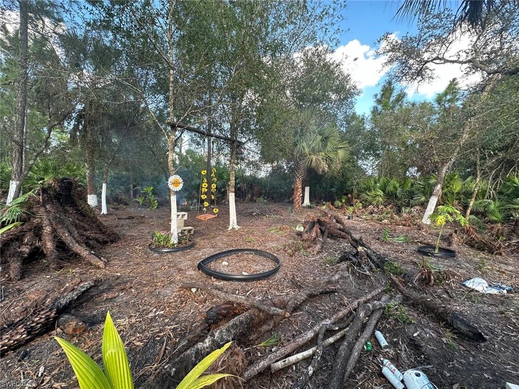 240 Tampa Ave Property Photo 4