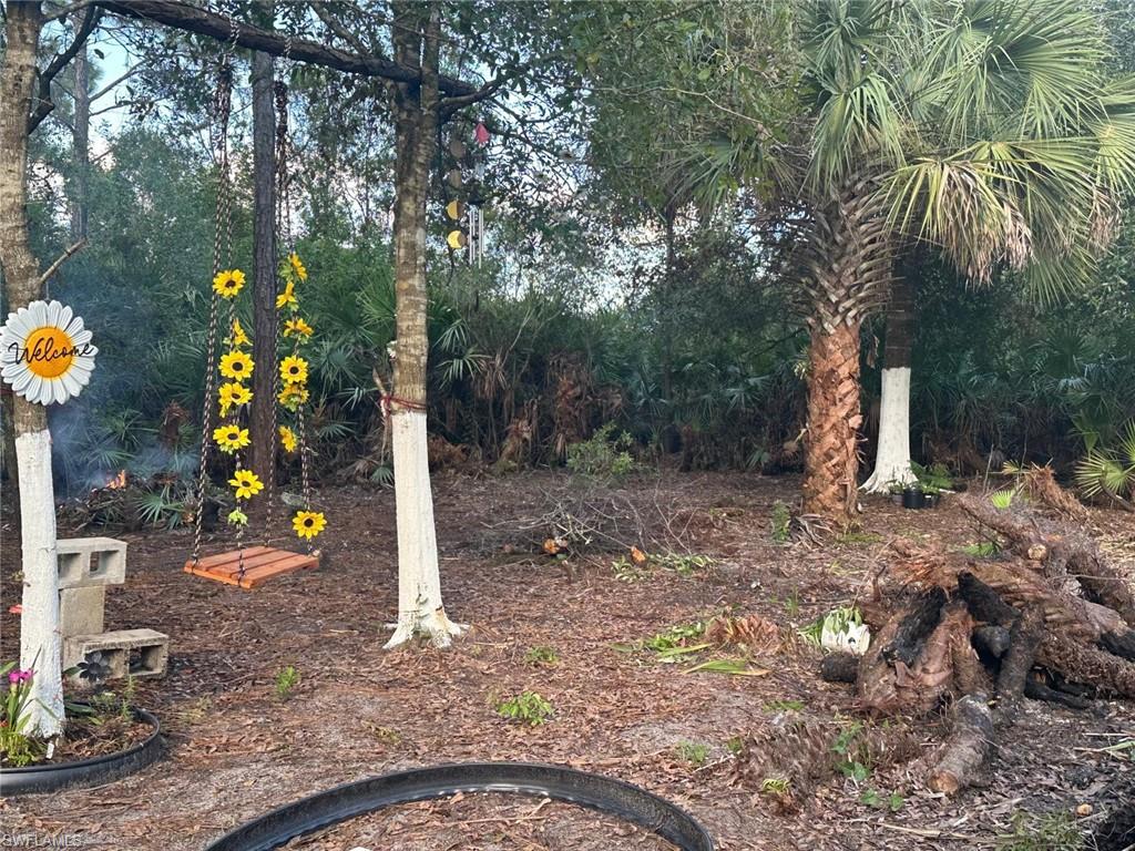 240 Tampa Ave Property Photo 6