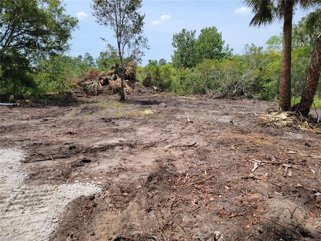 240 Tampa Ave Property Photo 7