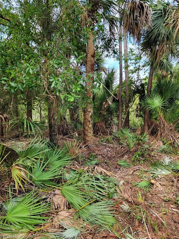 240 Tampa Ave Property Photo 16