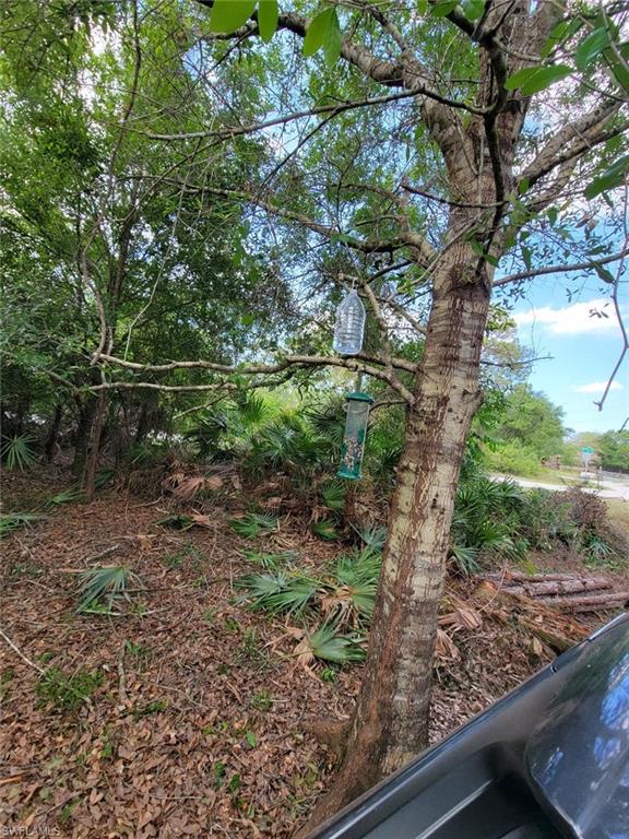 240 Tampa Ave Property Photo 18