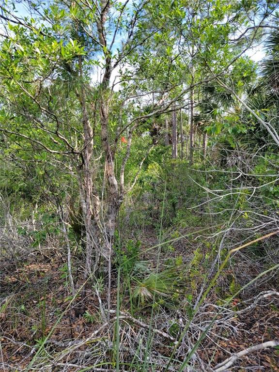 240 Tampa Ave Property Photo 19