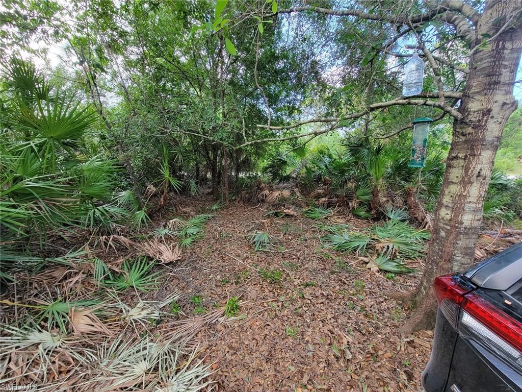 240 Tampa Ave Property Photo 20