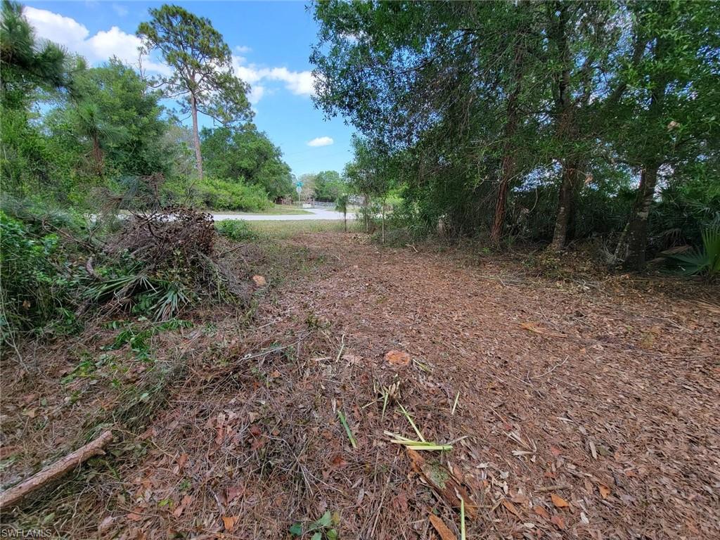 240 Tampa Ave Property Photo 21