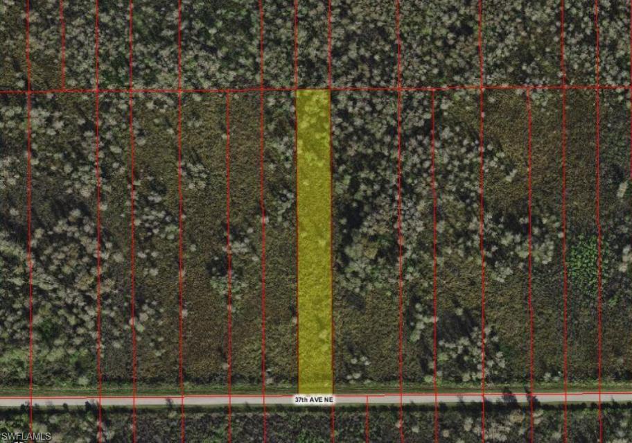 xxx 37TH AVE NE Property Photo 1