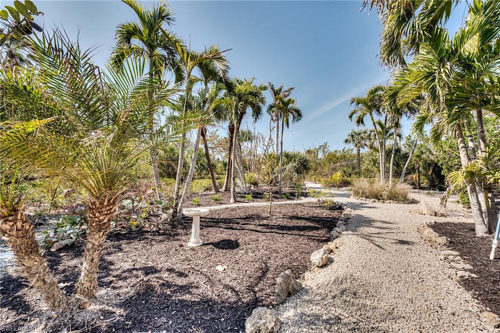 3025 Turtle Gait Ln Property Photo 37