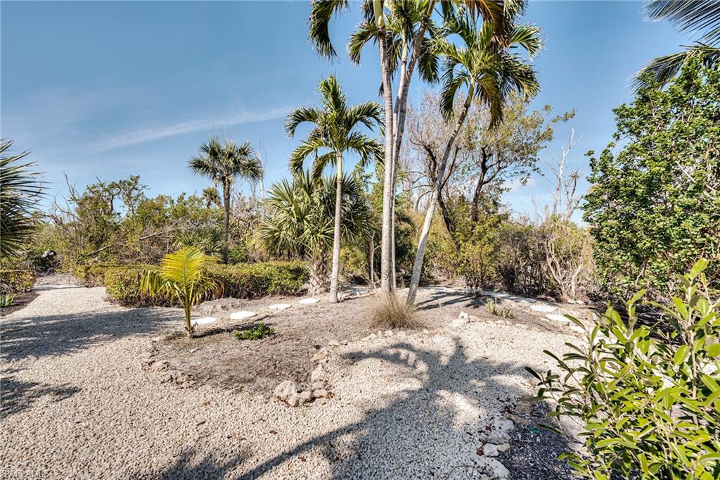 3025 Turtle Gait Ln Property Photo 38
